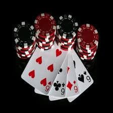 vg99 Sportsbook